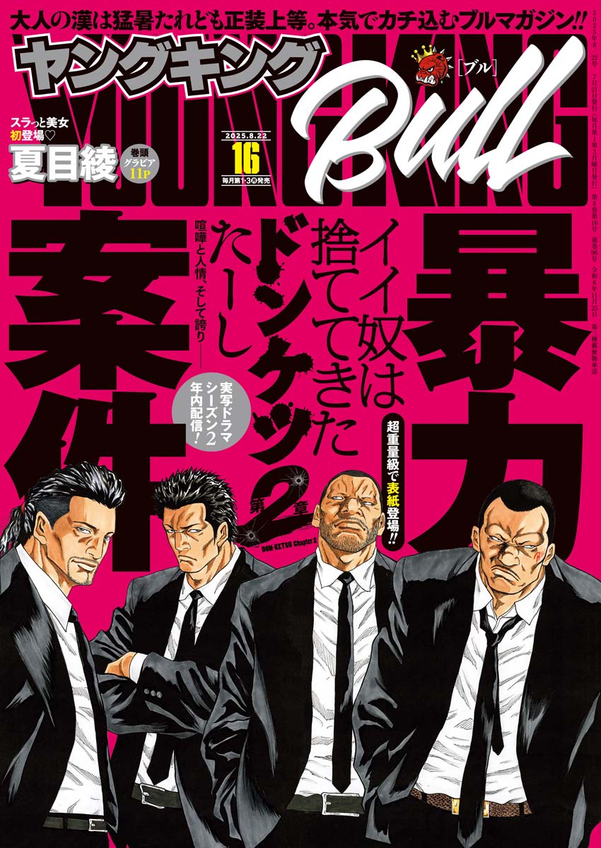ドンケツ 第2章 1～14巻 ドンケツ第2章 コミック 1-14巻セット (少年画報社) | たーし